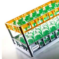 Gläserkorb 600x400 Fries Rack System